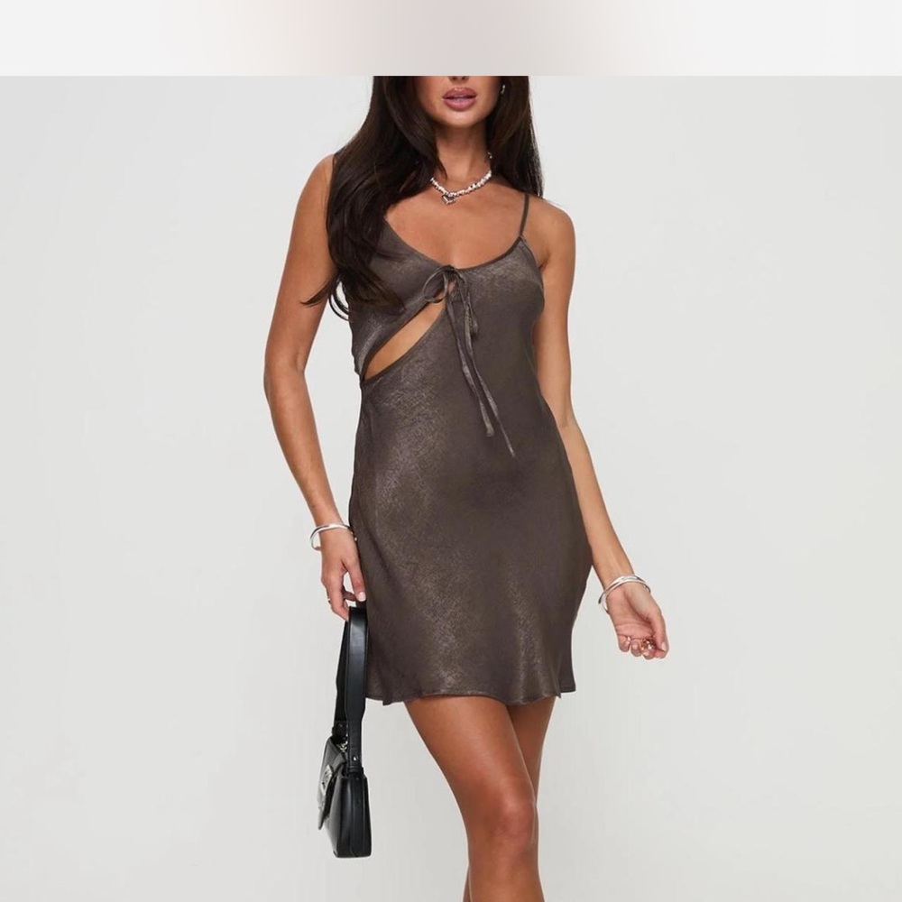 Princess Polly Brown Mini Dress